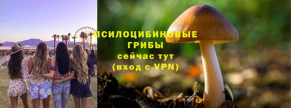 героин Алексин