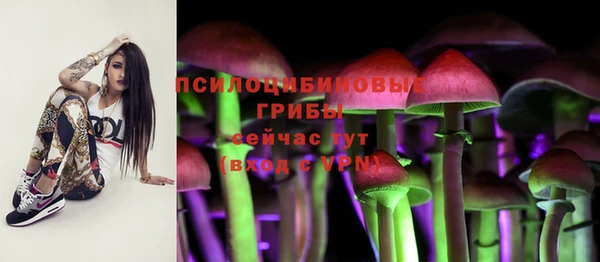 твердый Абинск