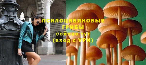 твердый Абинск